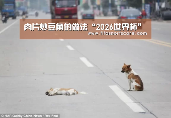 2026世界杯