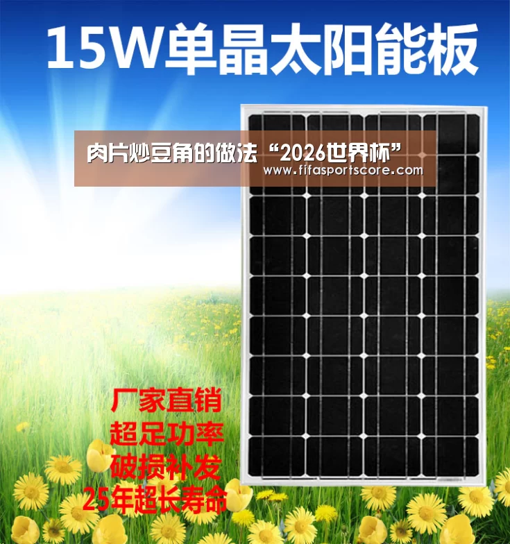 世界杯买球网站